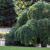 Davide Bertani - allestimento giardino villa privata Gallarate 10